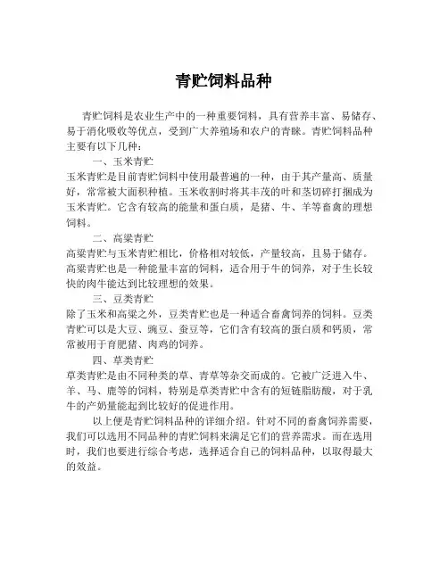 青贮饲料品种