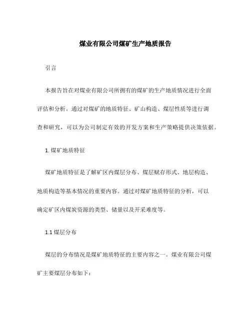 煤业有限公司煤矿生产地质报告