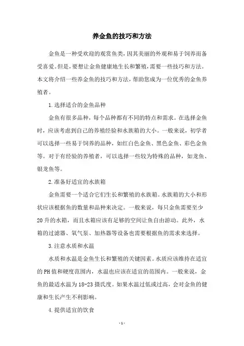 养金鱼的技巧和方法
