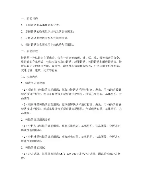 铸铁的实验报告