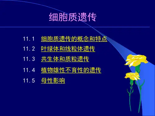 细胞质遗传