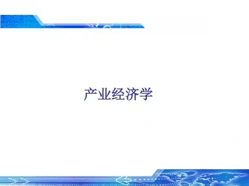 2015年 产业经济学 课件