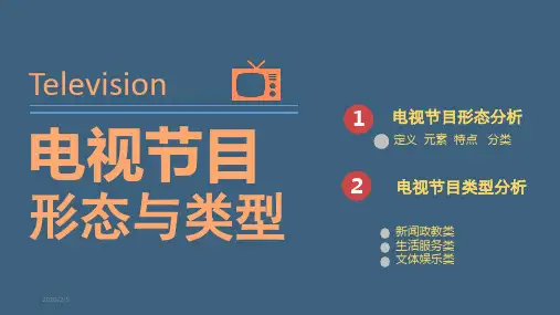 (完整版)电视节目形态与类型