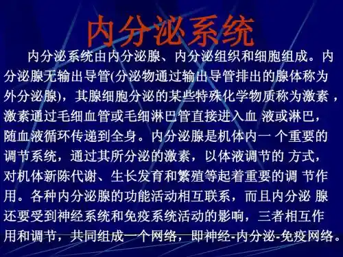 畜禽解剖学——内分泌系统