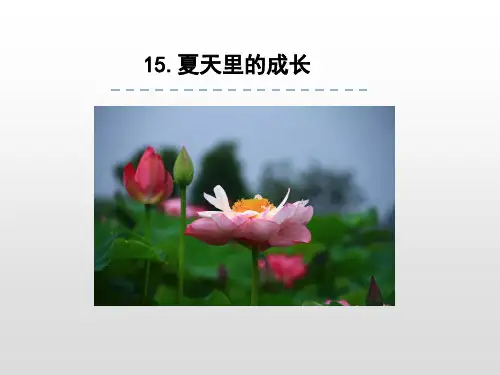 部编版教材《夏天里的成长》优秀课件1
