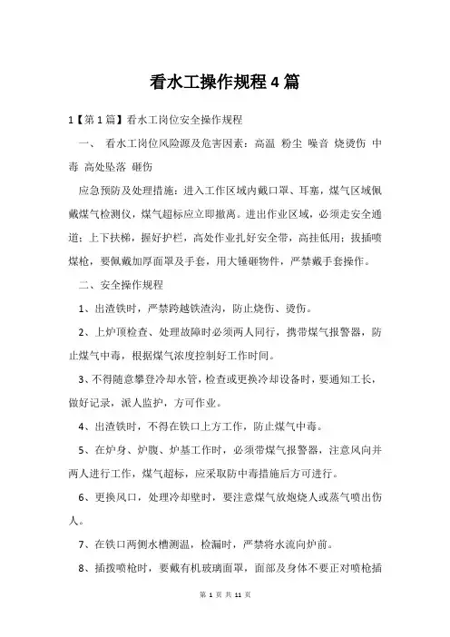 看水工操作规程4篇