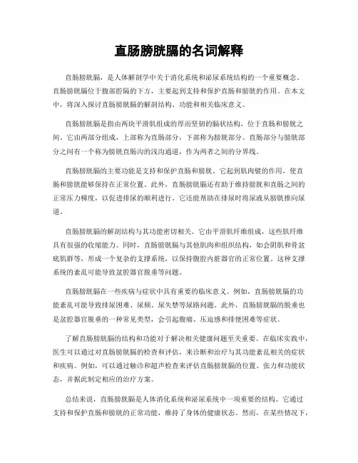 直肠膀胱膈的名词解释