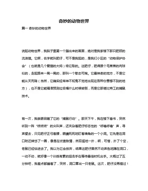 作文《奇妙的动物世界》