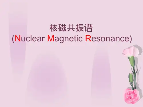 核磁共振1[1]