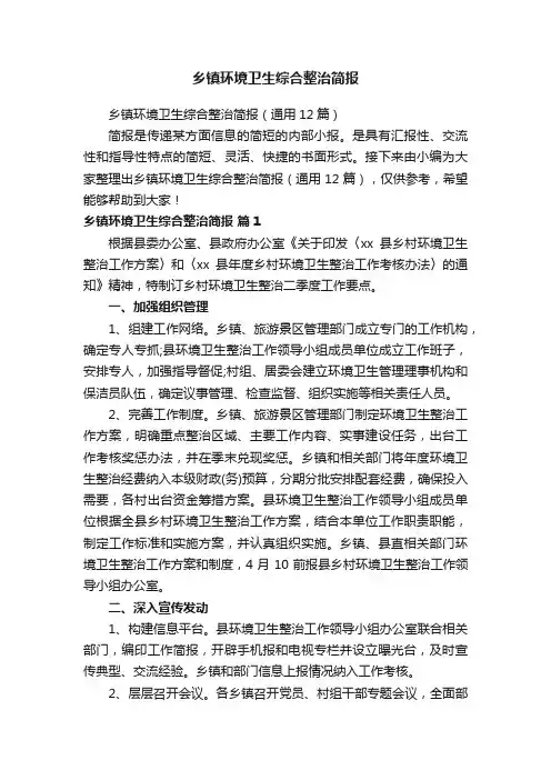 乡镇环境卫生综合整治简报