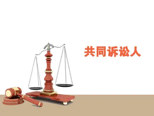 共同诉讼人