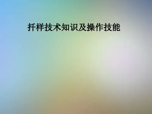 扦样技术知识及操作技能