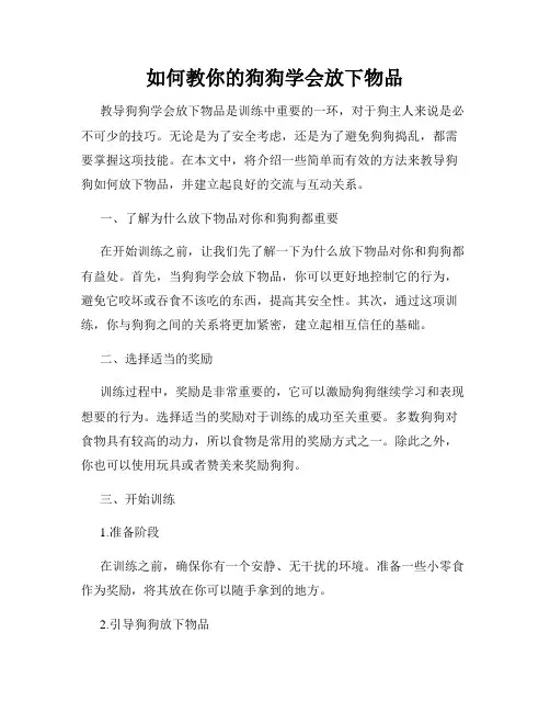 如何教你的狗狗学会放下物品