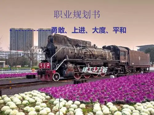 建筑学职业生涯规划书PPT课件