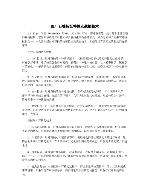 红叶石楠特征特性及栽植技术