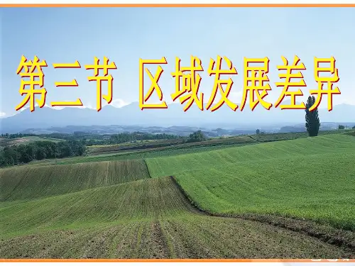 13区域发展差异.ppt