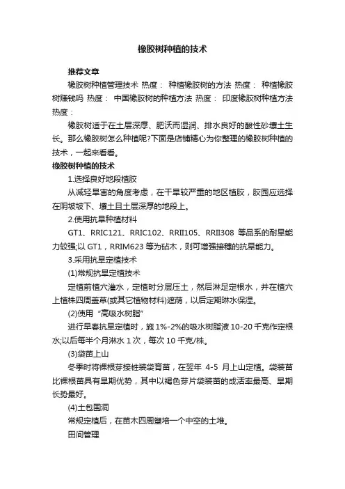 橡胶树种植的技术