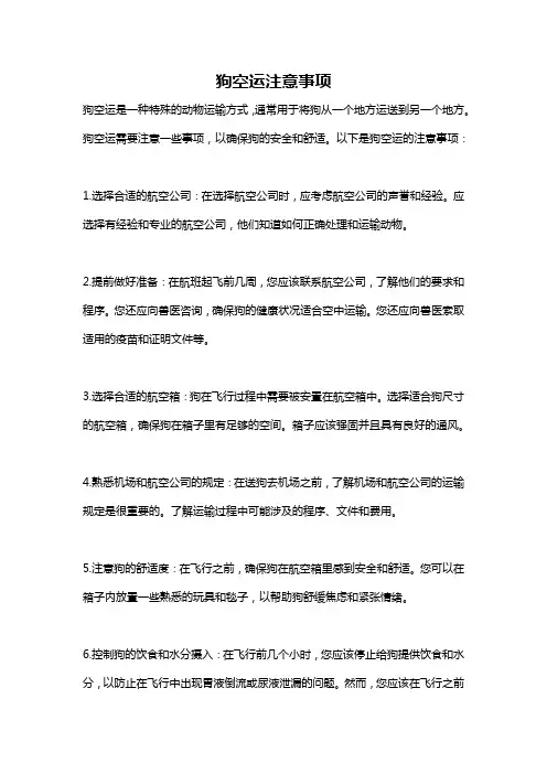 狗空运注意事项