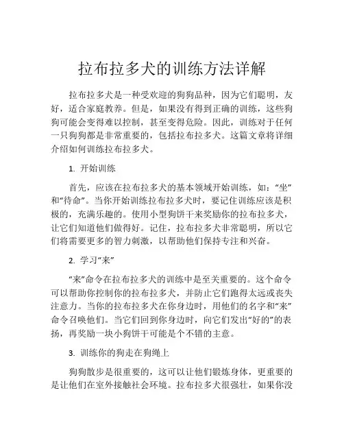 拉布拉多犬的训练方法详解