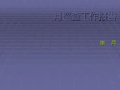 巡查报告 PPT课件