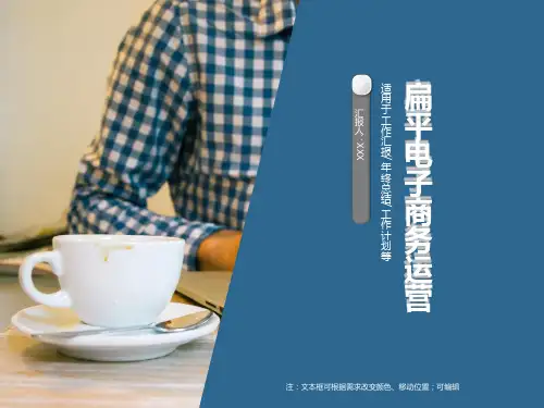 电子商务运营PPT