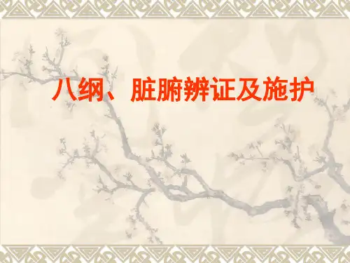 八纲、脏腑辨证