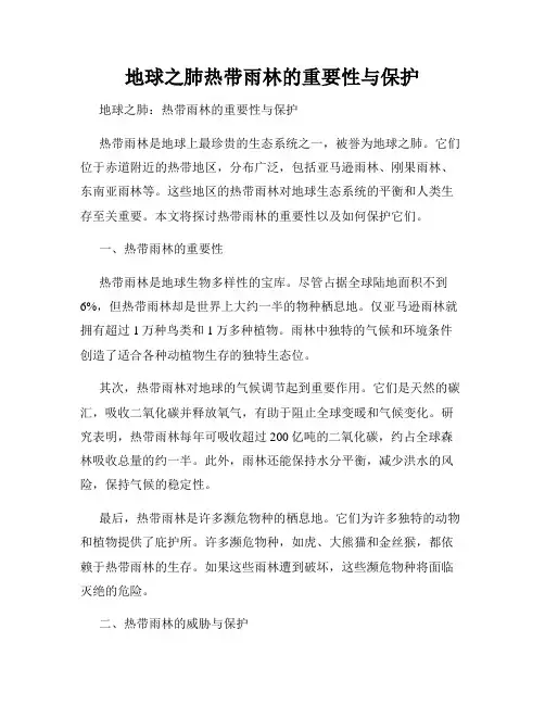 地球之肺热带雨林的重要性与保护