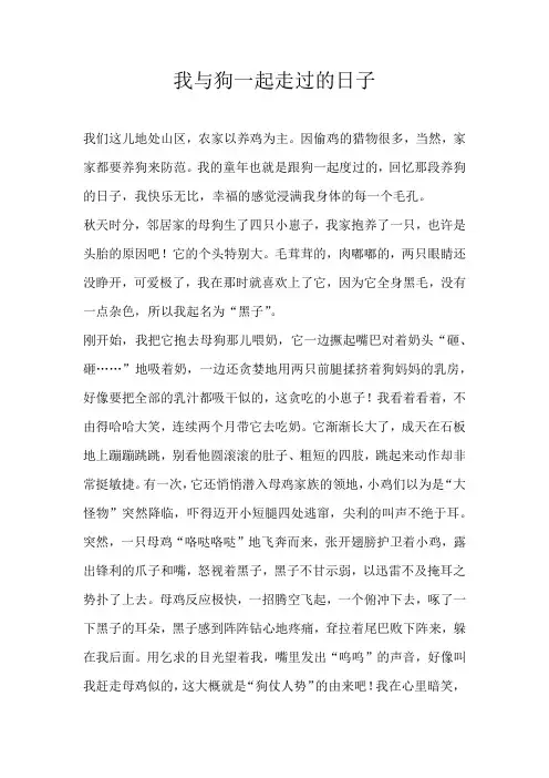 高一状物我与狗一起走过的日子