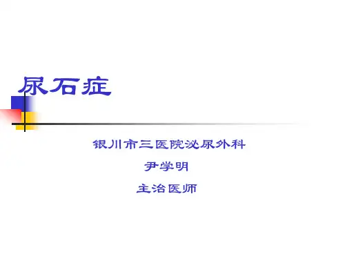 _泌尿系结石