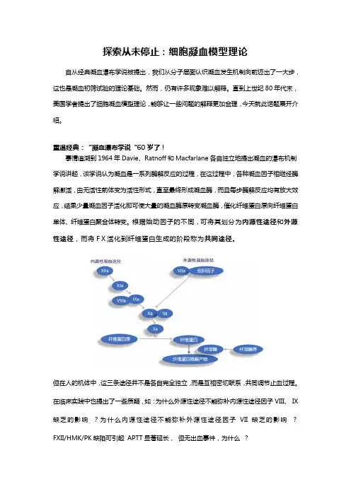探索从未停止：细胞凝血模型理论