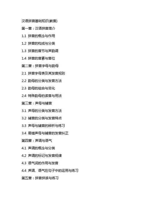 汉语拼音基础知识(教案)