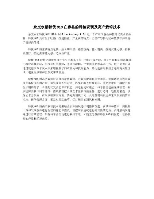 杂交水稻特优918在容县的种植表现及高产栽培技术