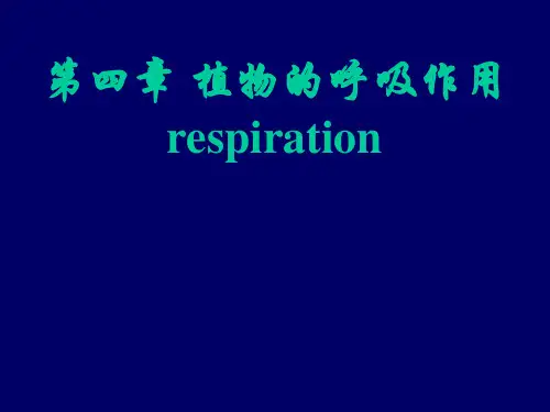 植物生理学第4章   呼吸作用