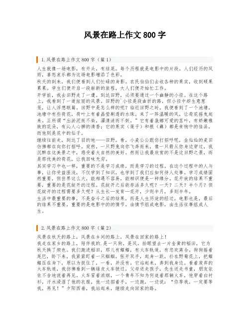 风景在路上作文800字