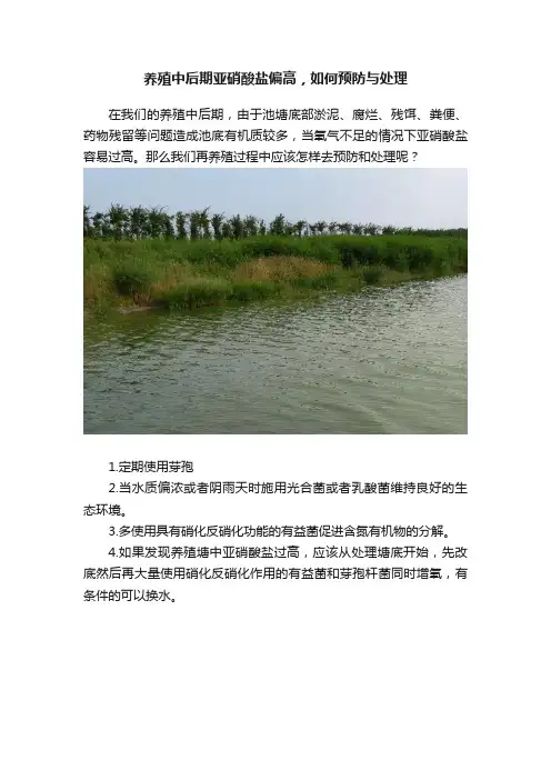 养殖中后期亚硝酸盐偏高，如何预防与处理