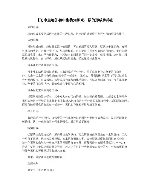 【初中生物】初中生物知识点：尿的形成和排出