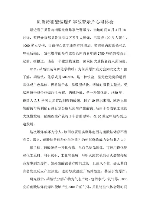 贝鲁特硝酸铵爆炸事故警示片心得体会