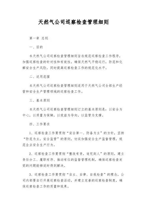 天然气公司巡视检查管理细则