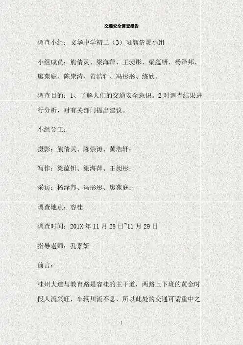 交通安全调查报告(精)