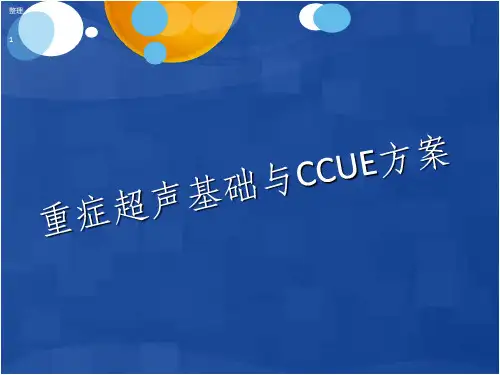 重症超声基础精选ppt