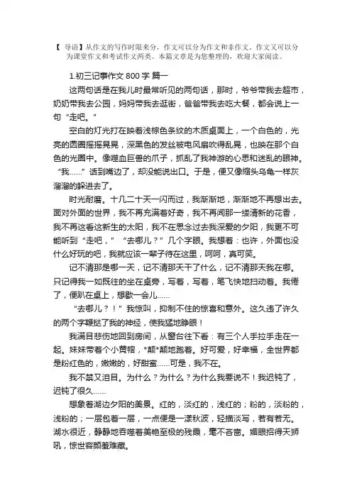 初三记事作文800字大全（范文5篇）