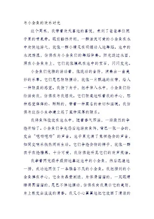 与小金鱼的欢乐时光