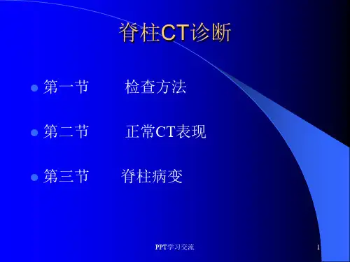脊柱CT诊断ppt课件