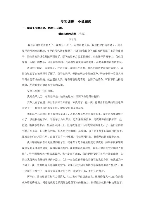 2020年高考语文二轮复习专项训练附解答：小说阅读(二)