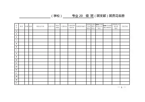 共青团团员花名册(样式)