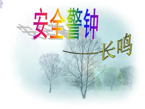 优秀主题班会课件：安全警钟长鸣.ppt