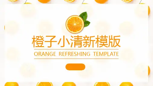 手绘橙子小清新简约工作汇报总结PPT模板