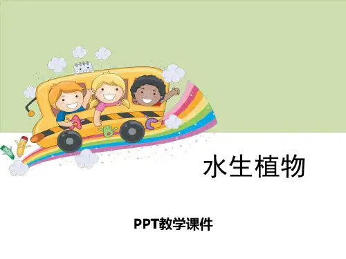 1水生植物PPT课件