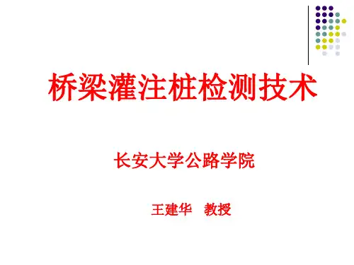 桥梁基桩检测技术
