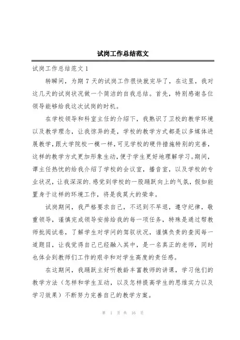 试岗工作总结范文